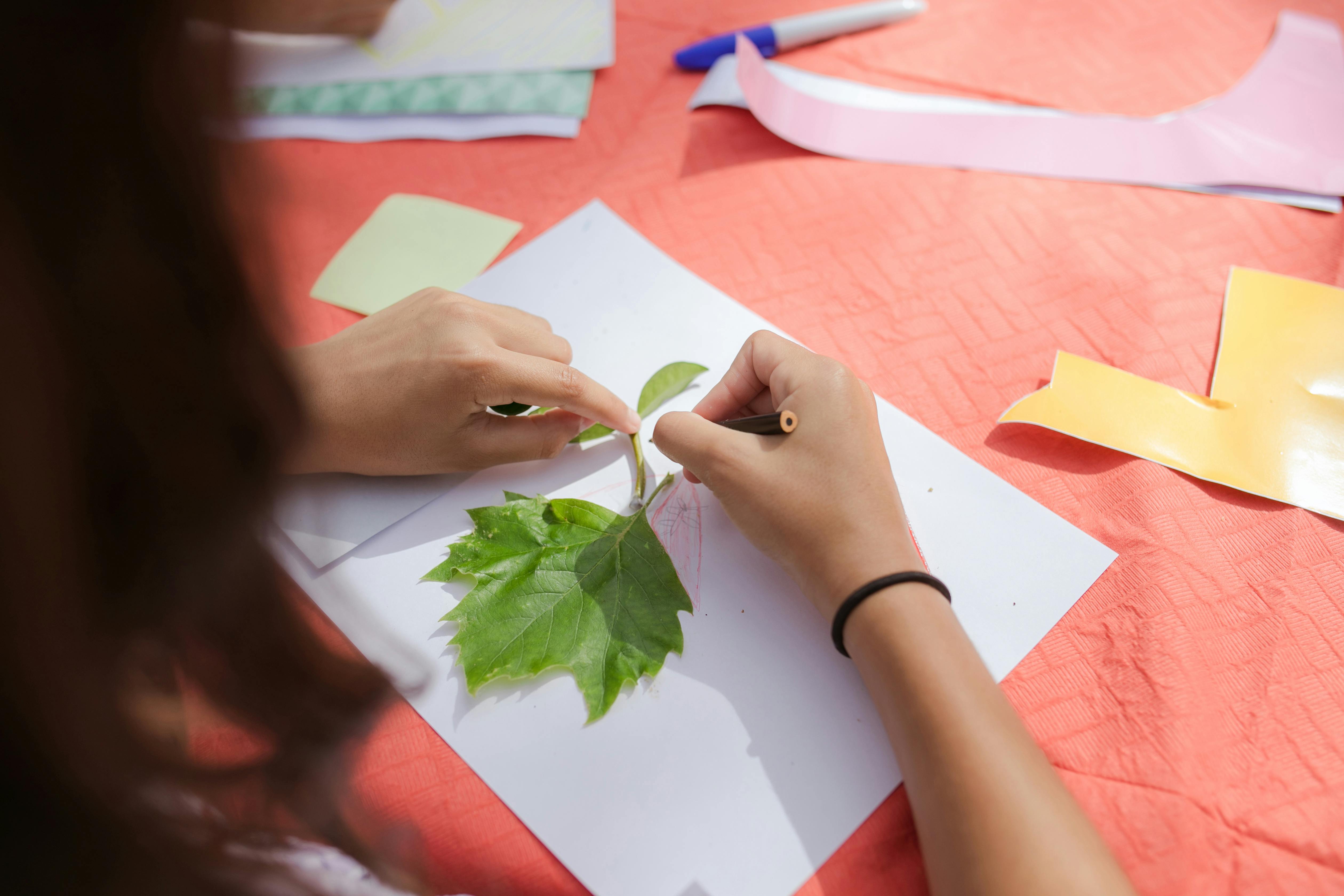 Tracing paper