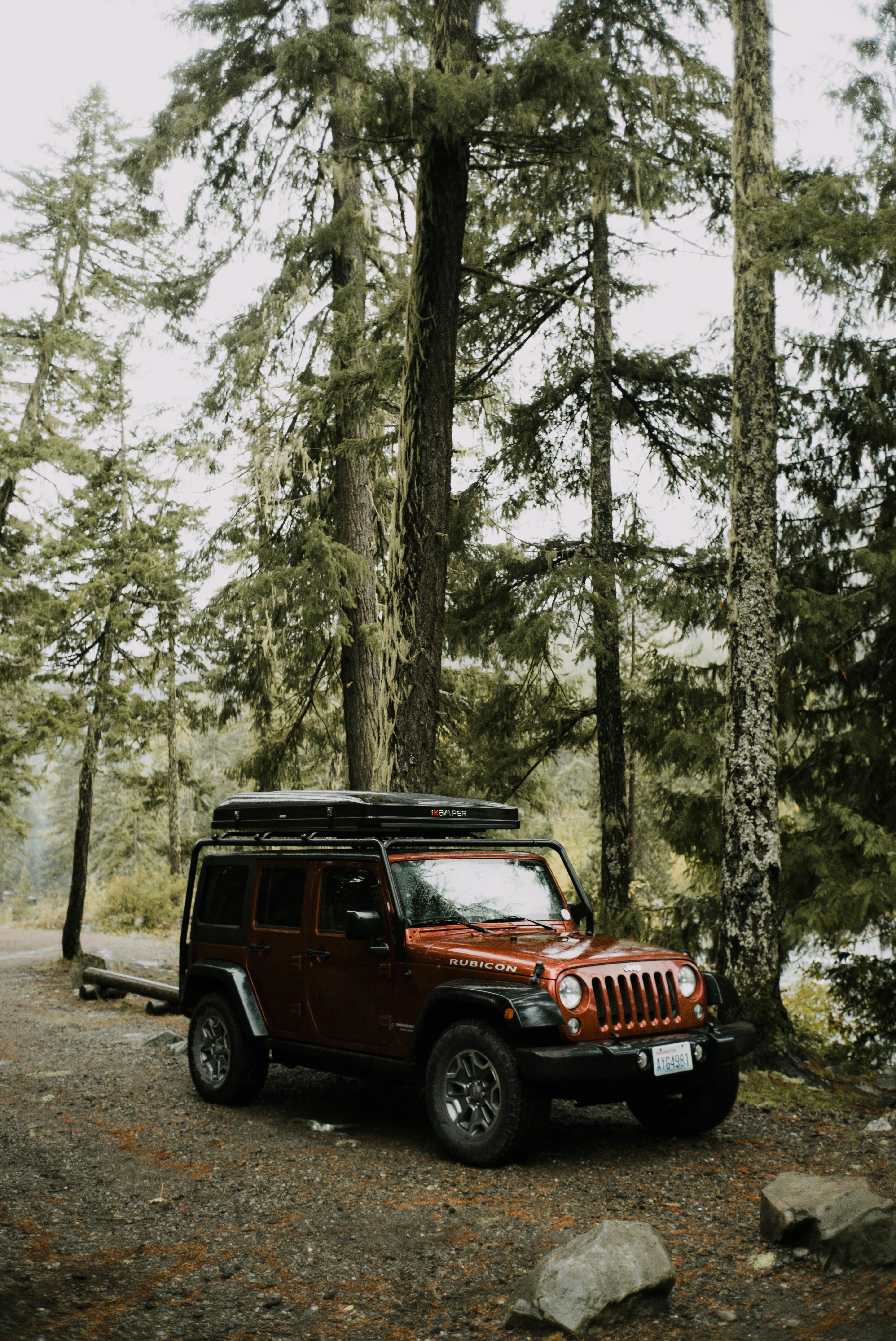 Roof racks
